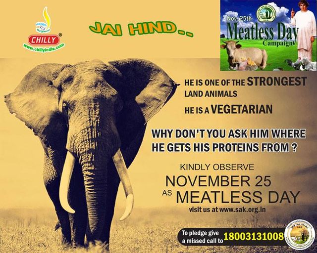 Meatless Day